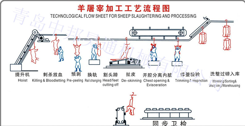 羊屠宰流水線表示圖